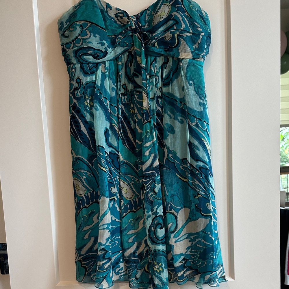 Express Dress - Picture 3 of 6